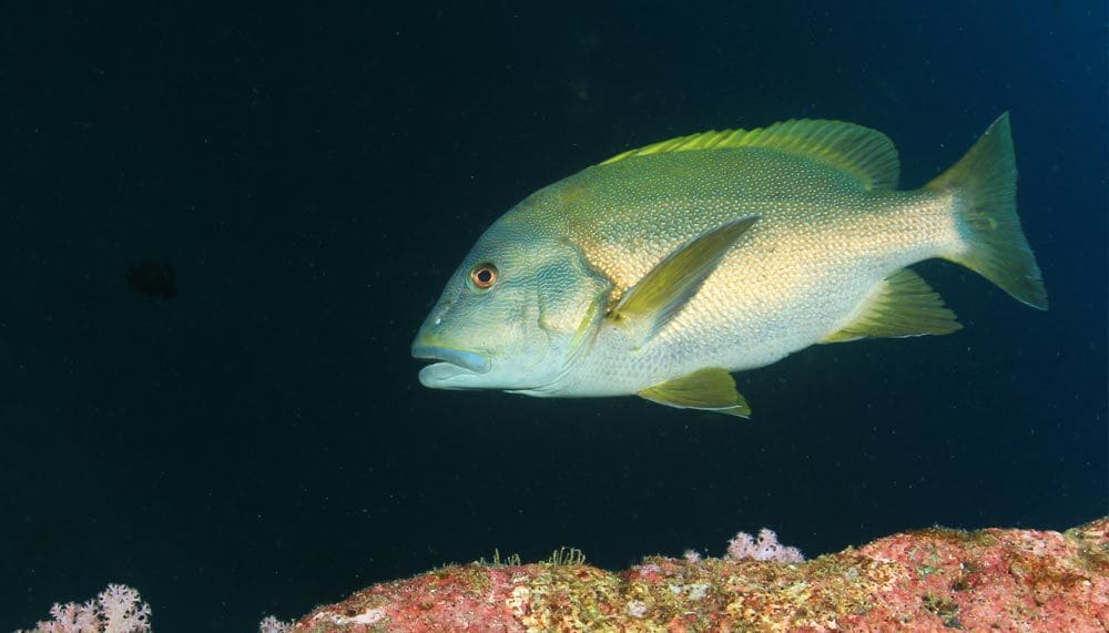 komodo national park