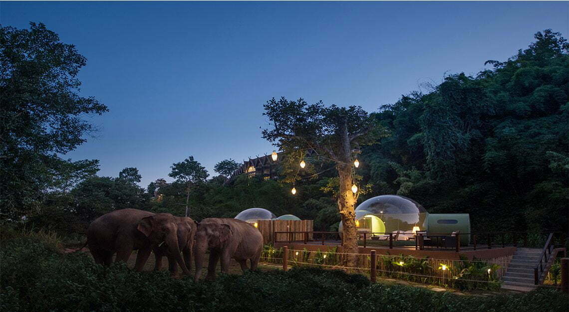 Anantara Jungle Bubble