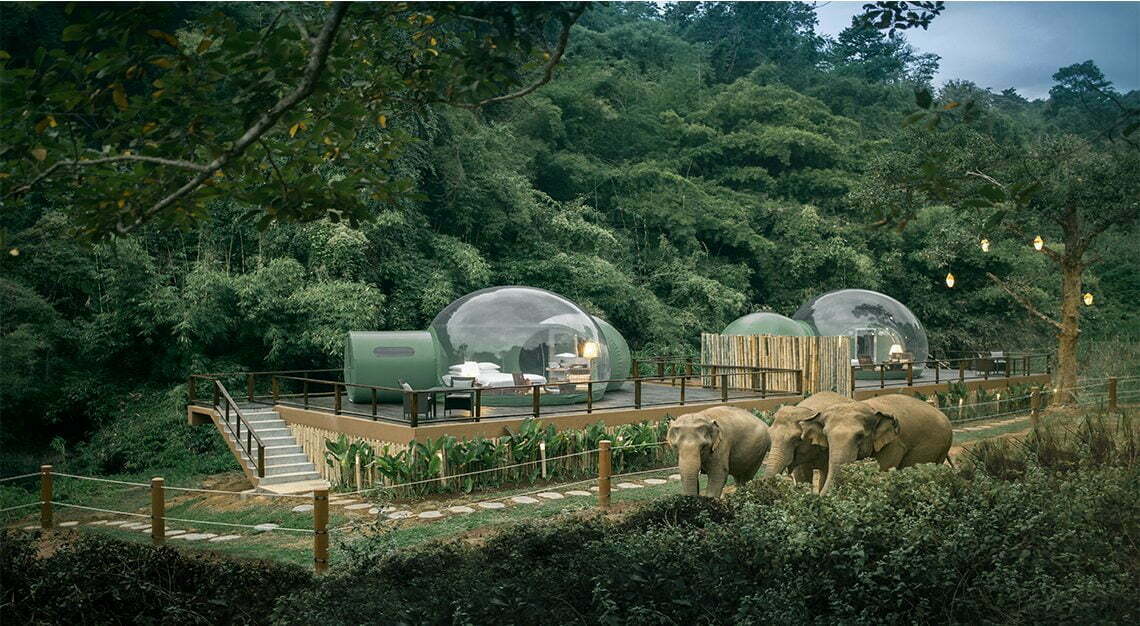 Anantara Jungle Bubble