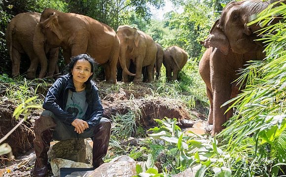 Lek Chailert with her elephants_m resized