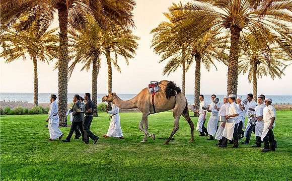 CamelMuscat RESIZED