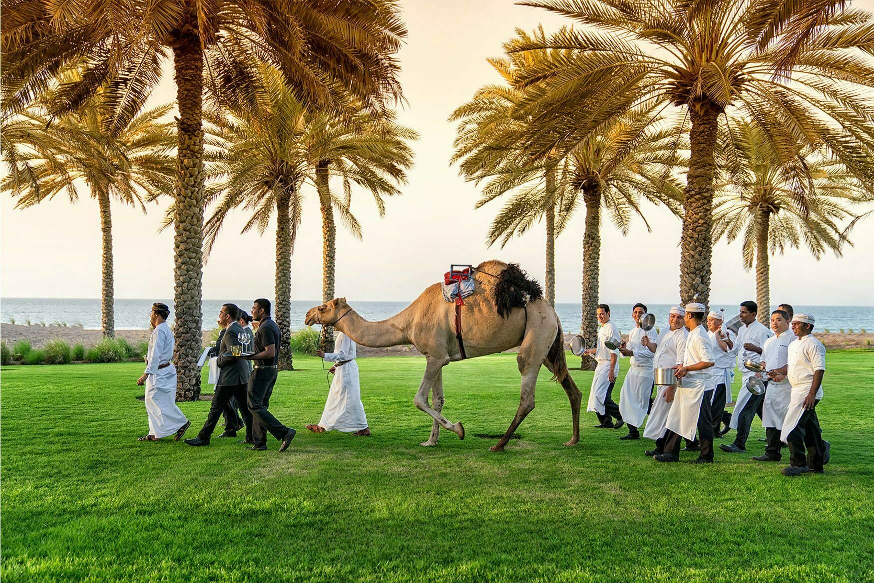 CamelMuscat RESIZED