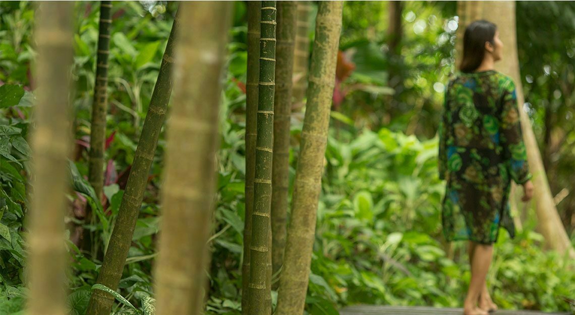 Four Seasons Tented Camp Golden Triangle